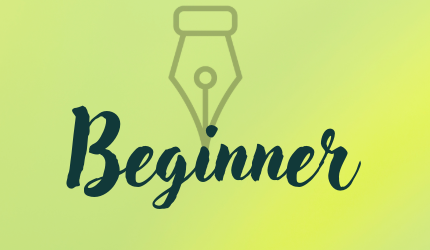 Beginner