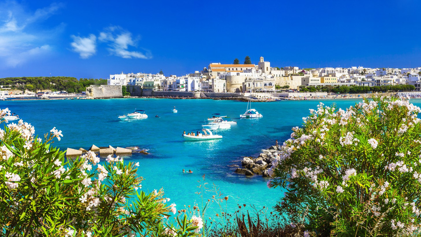 An image of the clear, blue sea and bright blue sky with very few clouds. There are some rocks and wave breaks in the ocean, as well as gleaming, white boats and people swimming. Across the small bay are the bright, white buildings of Puglia and trees. In the foreground, on the lower left and right edges of the photographs, are white flowers blooming in vibrant green bushes.