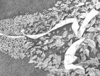 FlyBy, detail. Jennifer Celio, Graphite pencil on Yupo paper, 2012